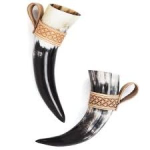 Drinking Horn 1