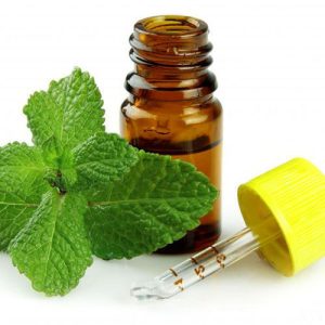 Mentha Citrata Oil