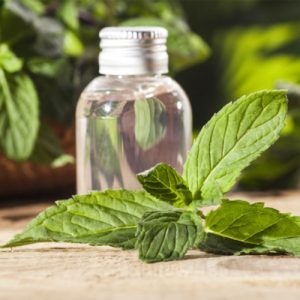 Rectified Peppermint Oil